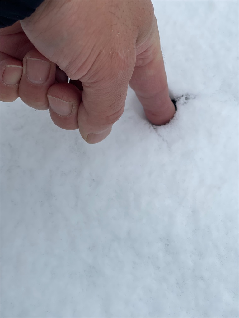 f:id:ccshimo:20230210105018j:image f:id:ccshimo:20230210105018j:image