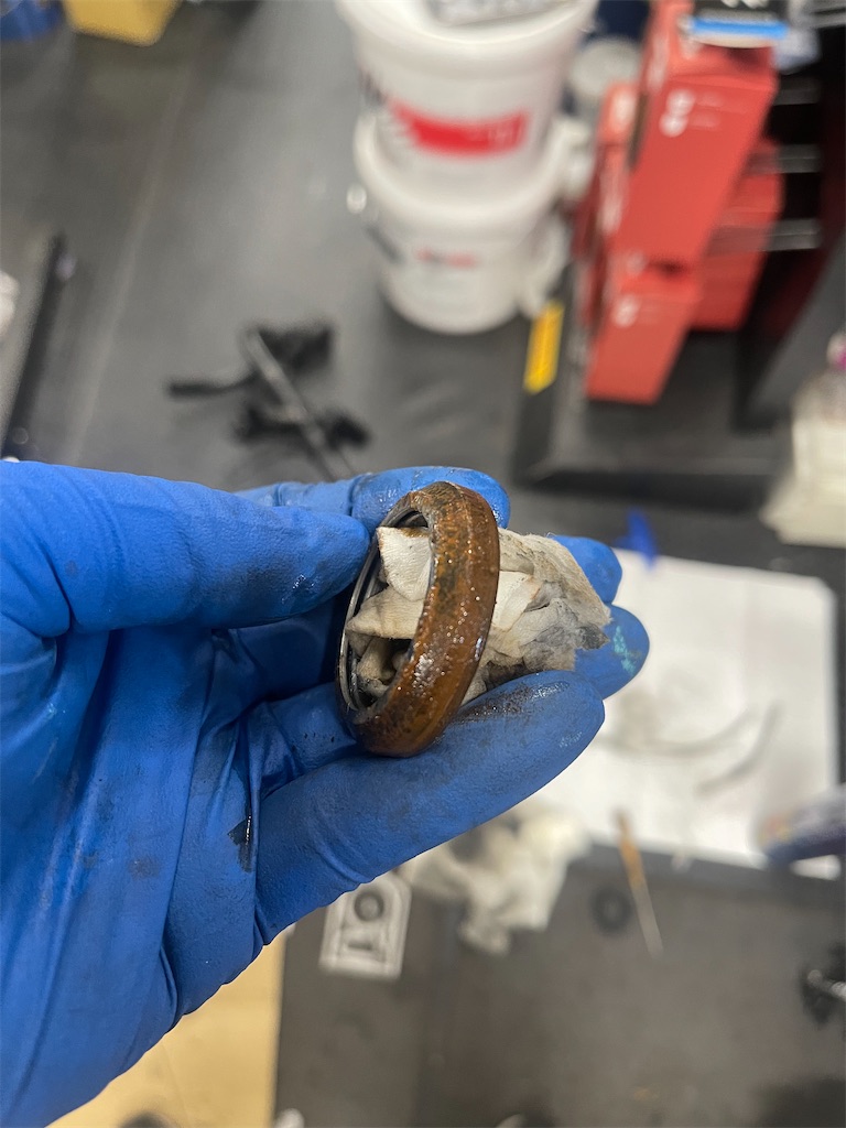 f:id:ccshimo:20230218092156j:image