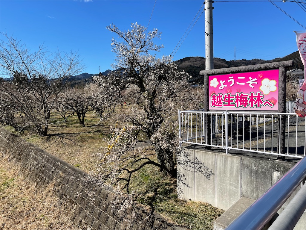 f:id:ccshimo:20230227000148j:image