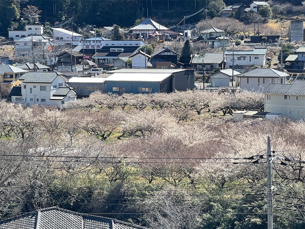 f:id:ccshimo:20230227000213j:image