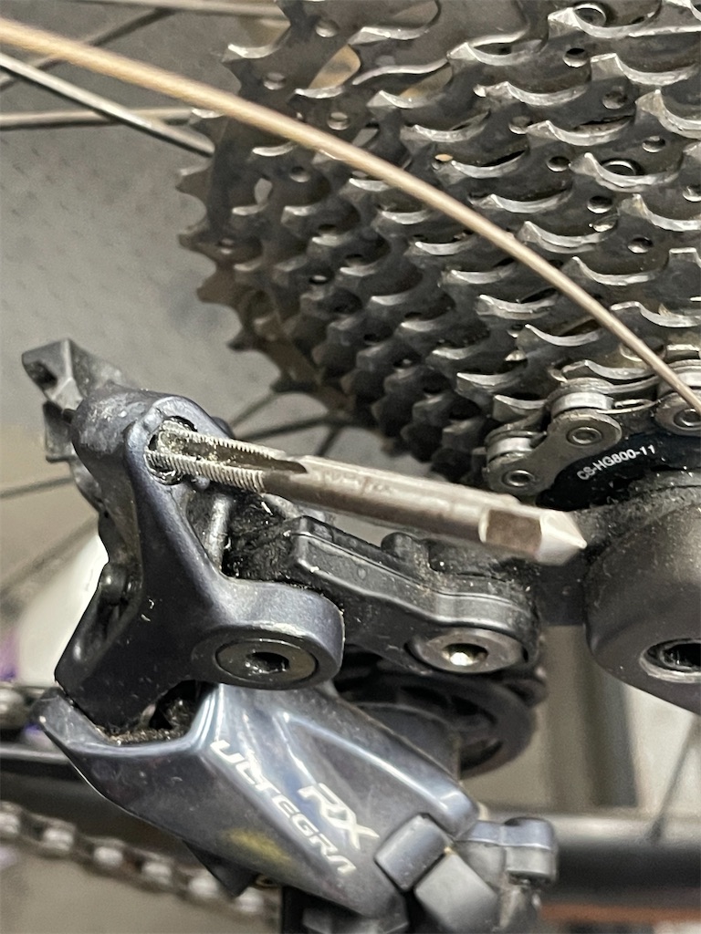 f:id:ccshimo:20230304183149j:image f:id:ccshimo:20230304183149j:image