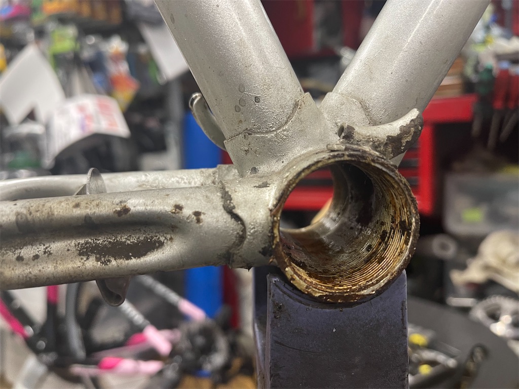 f:id:ccshimo:20230425164435j:image f:id:ccshimo:20230425164435j:image