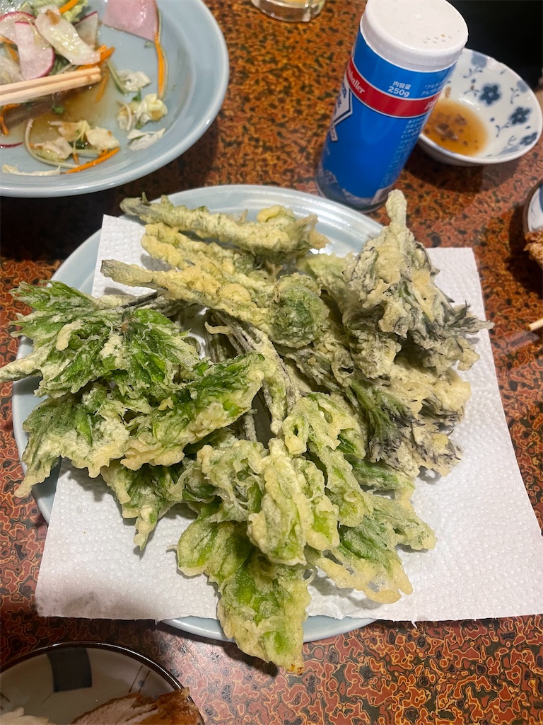 f:id:ccshimo:20230525235334j:image