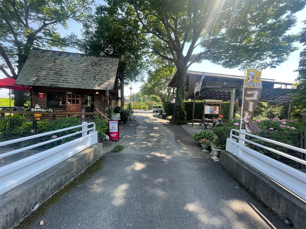 f:id:ccshimo:20230609114903j:image