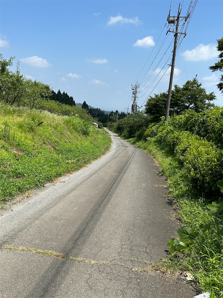 f:id:ccshimo:20230723170244j:image f:id:ccshimo:20230723170244j:image