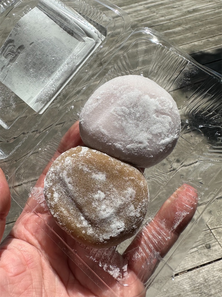 f:id:ccshimo:20230827180608j:image