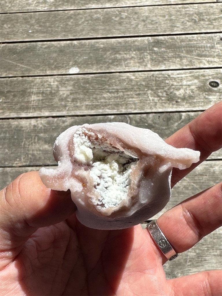 f:id:ccshimo:20230827180620j:image