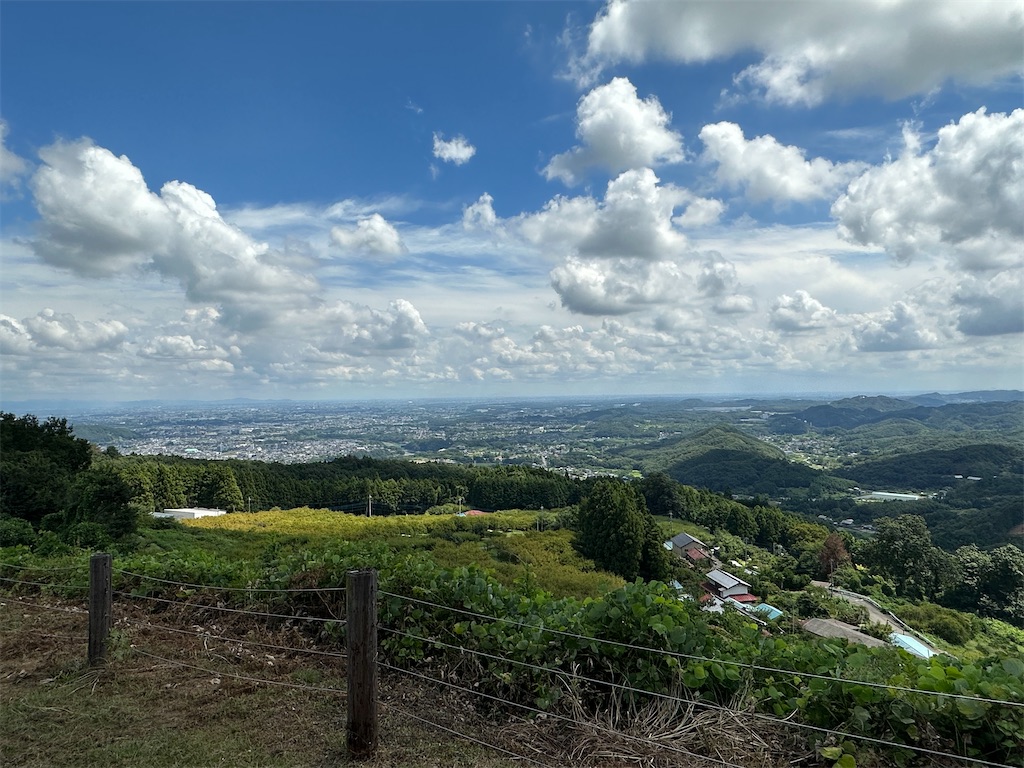 f:id:ccshimo:20230827180634j:image