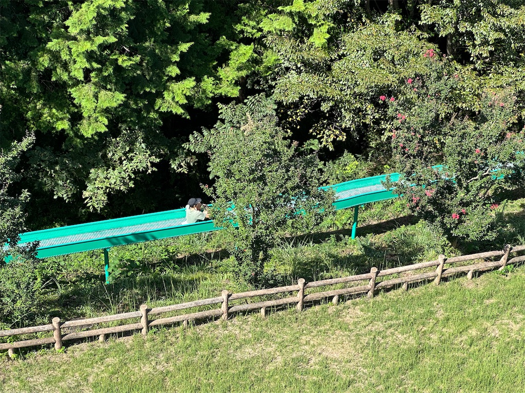 f:id:ccshimo:20230924172212j:image