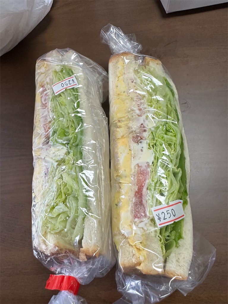 f:id:ccshimo:20231031092526j:image