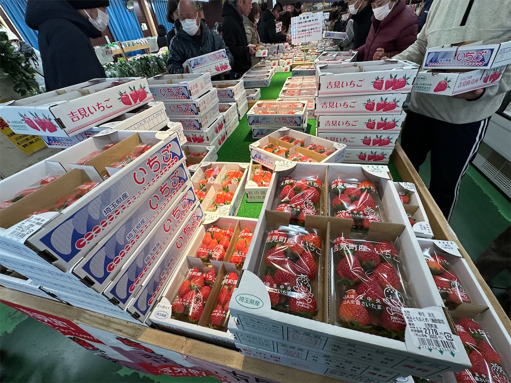f:id:ccshimo:20240114132911j:image