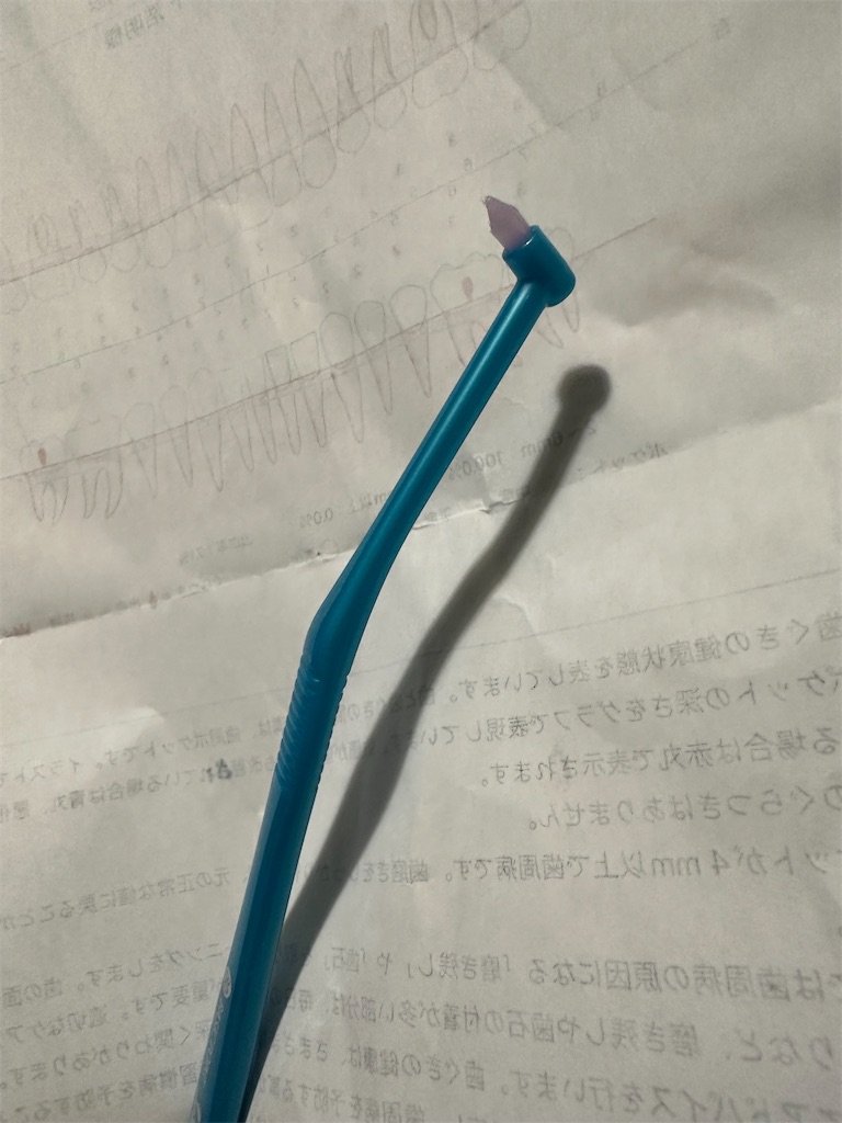 f:id:ccshimo:20240119120701j:image