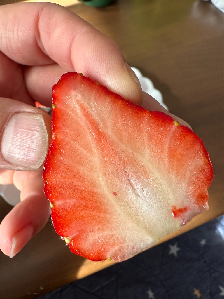 f:id:ccshimo:20240126192023j:image