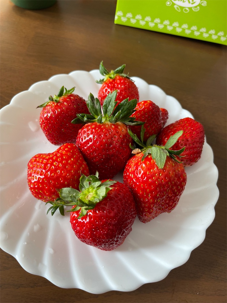 f:id:ccshimo:20240126192035j:image