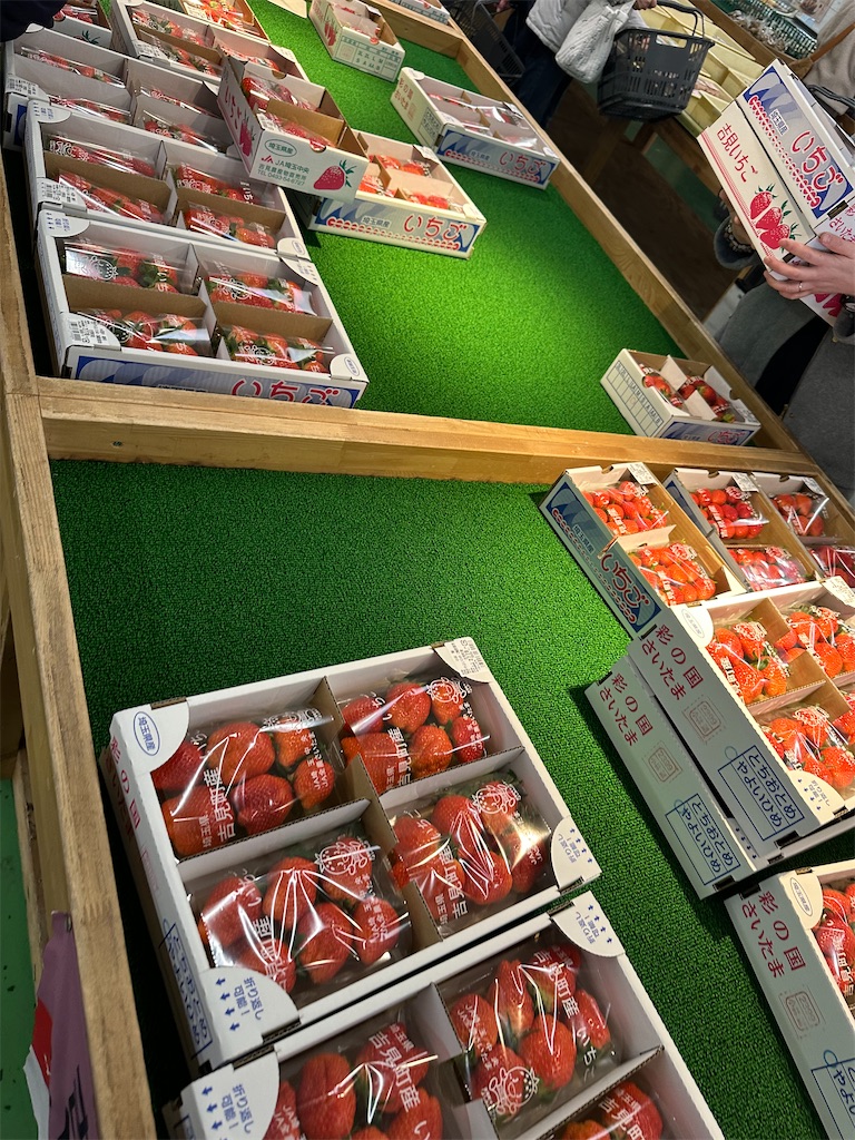 f:id:ccshimo:20240126192100j:image