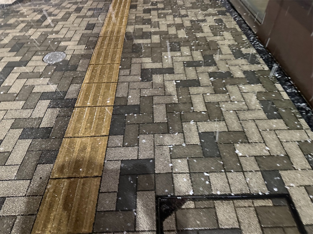 f:id:ccshimo:20240306002952j:image