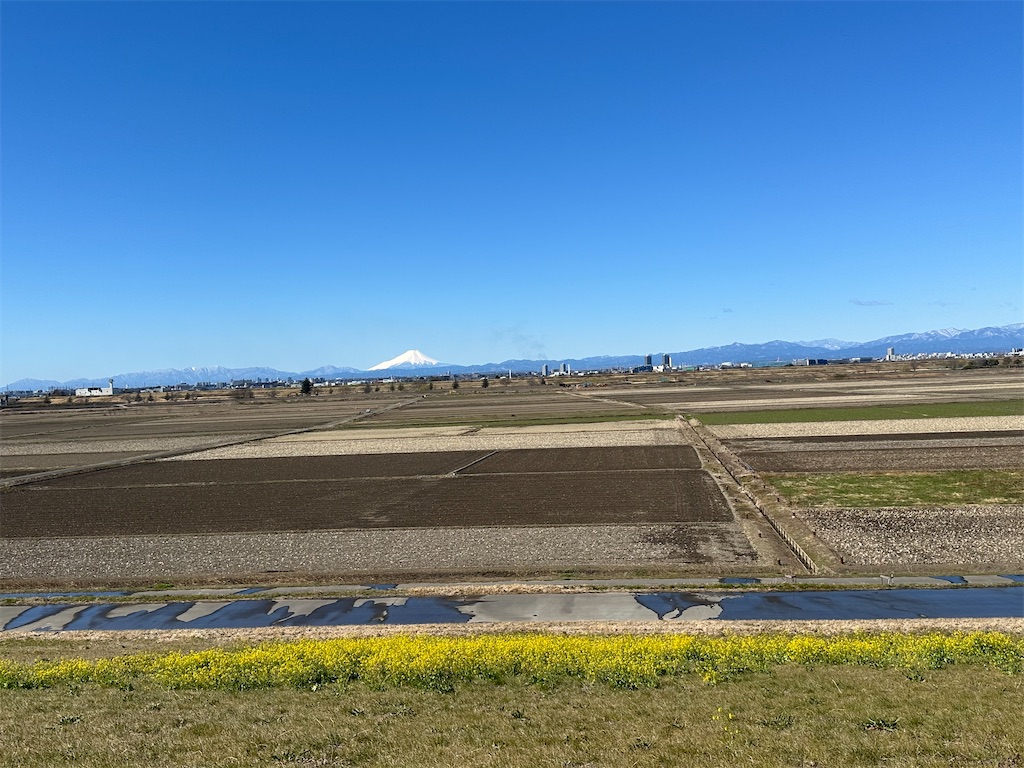 f:id:ccshimo:20240310202344j:image f:id:ccshimo:20240310202344j:image