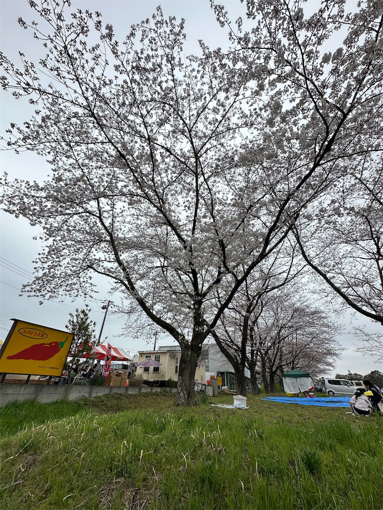 f:id:ccshimo:20240406183554j:image