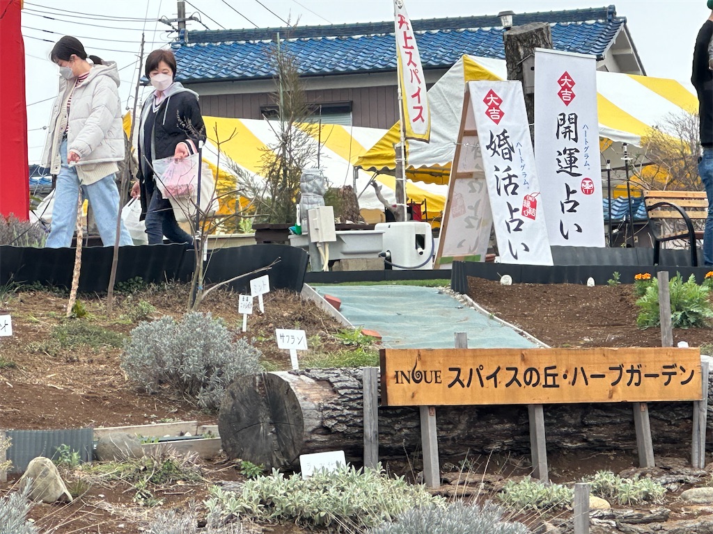 f:id:ccshimo:20240406183613j:image