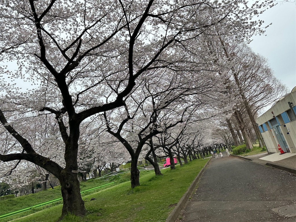 f:id:ccshimo:20240406183620j:image