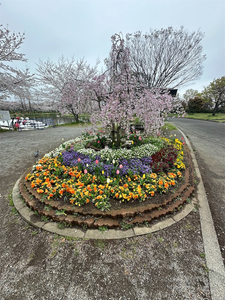 f:id:ccshimo:20240406183641j:image