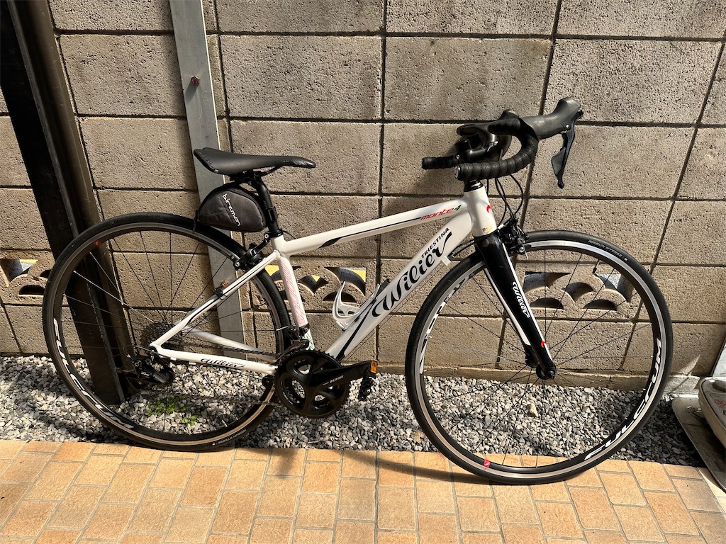 f:id:ccshimo:20240505192823j:image