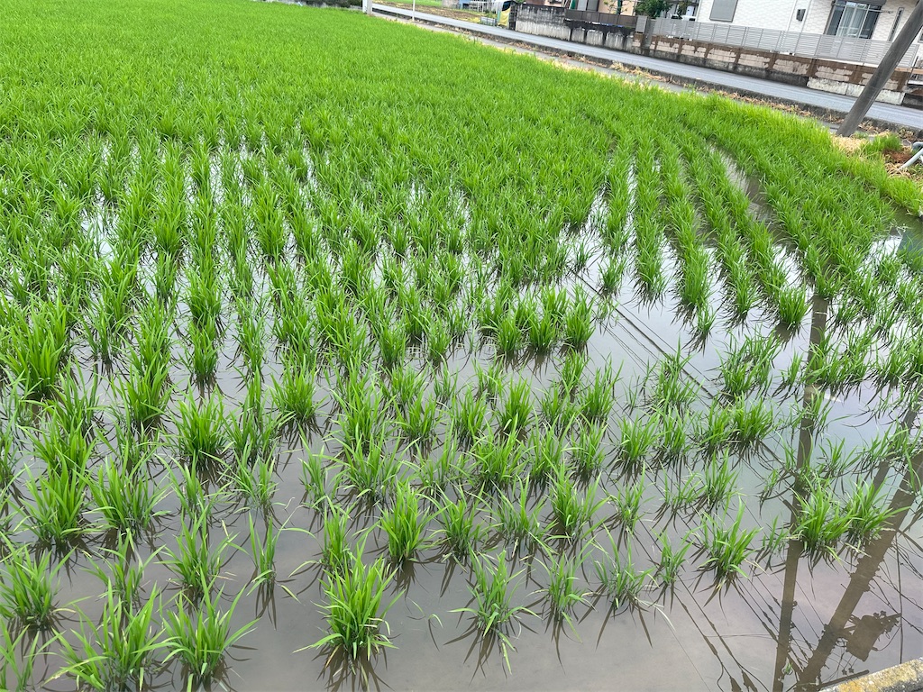 f:id:ccshimo:20240616184114j:image