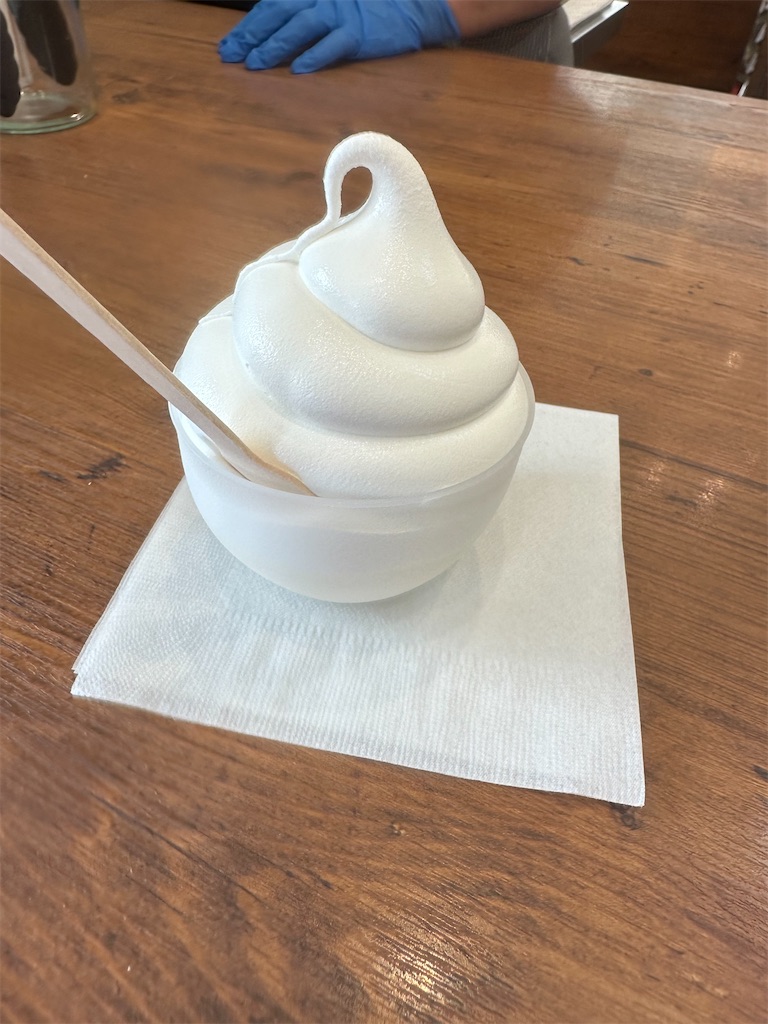 f:id:ccshimo:20240616184129j:image