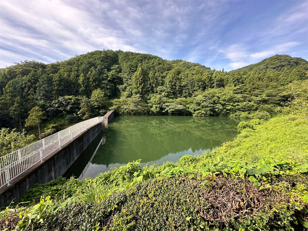 f:id:ccshimo:20240728101327j:image