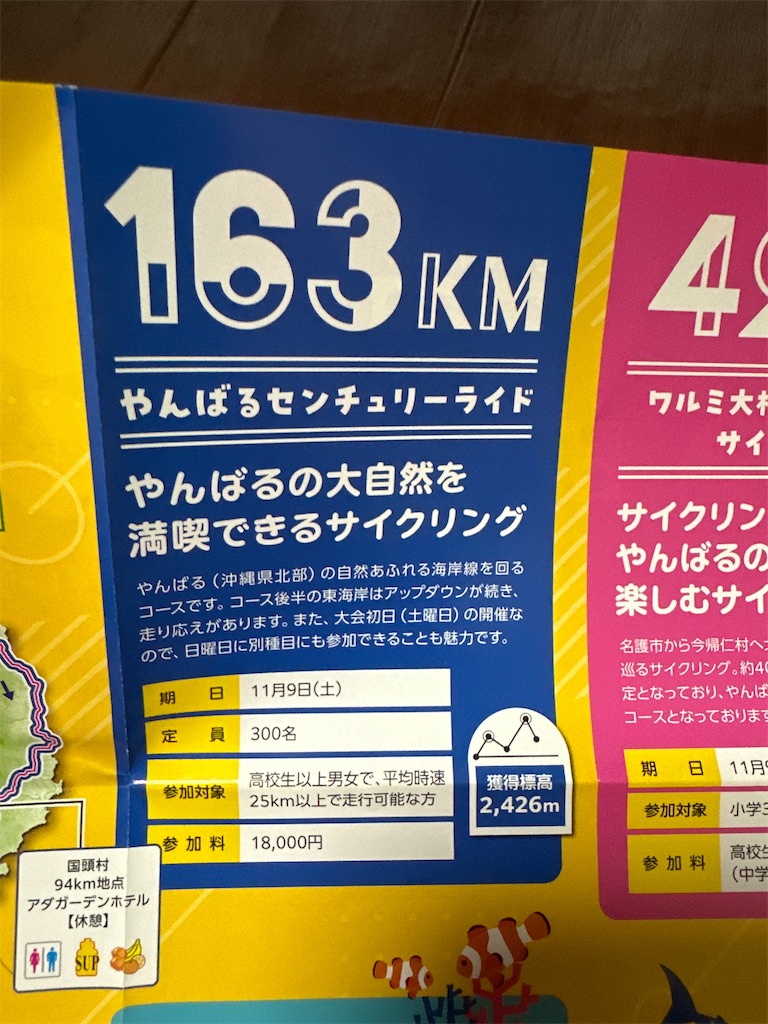 f:id:ccshimo:20240803010922j:image f:id:ccshimo:20240803010922j:image