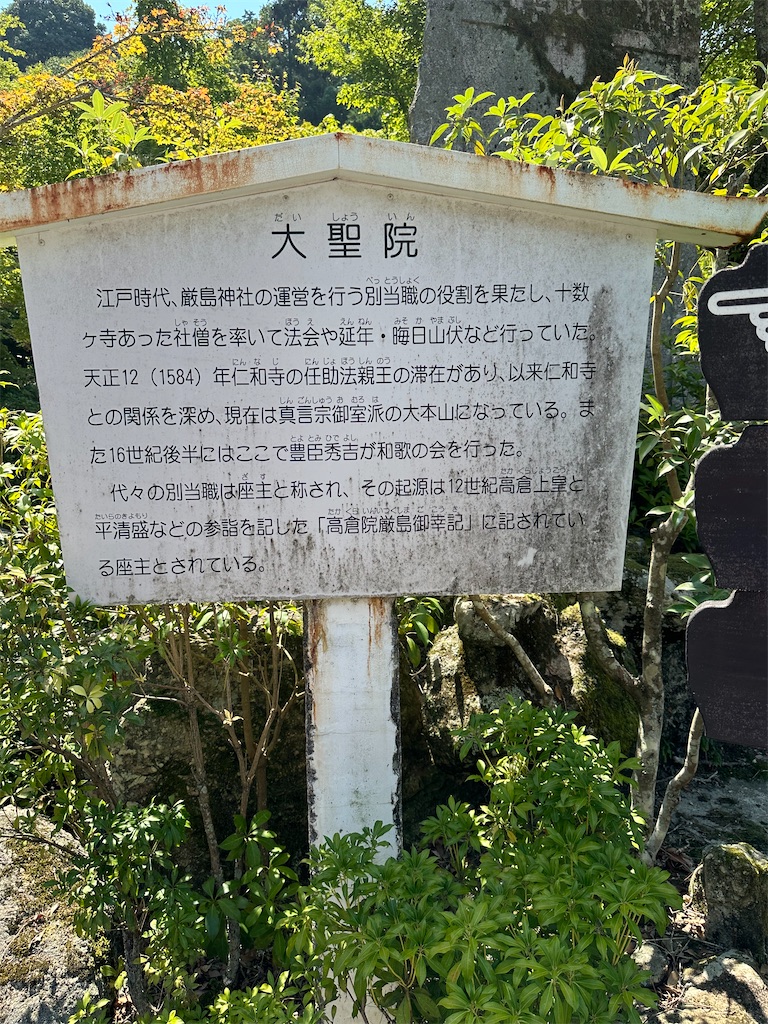 f:id:ccshimo:20240816084107j:image