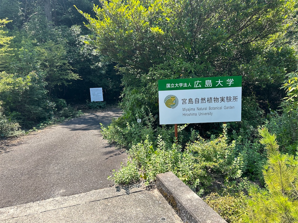 f:id:ccshimo:20240816084110j:image