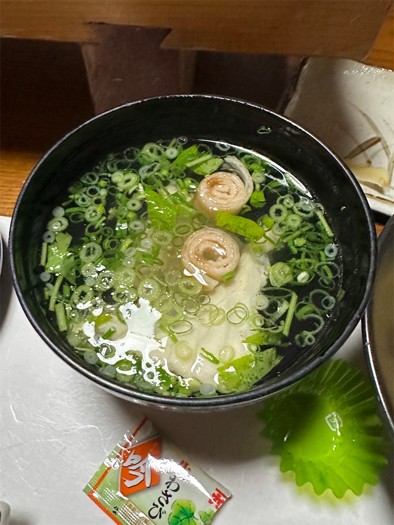 f:id:ccshimo:20240821211756j:image