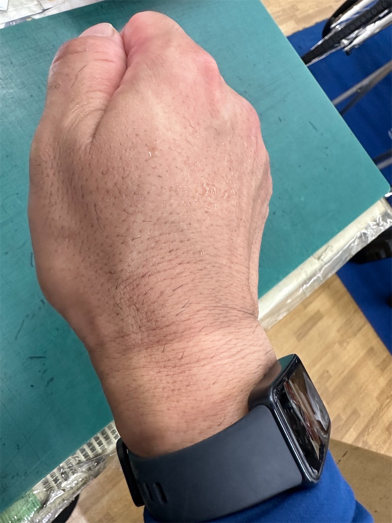 f:id:ccshimo:20240907183220j:image