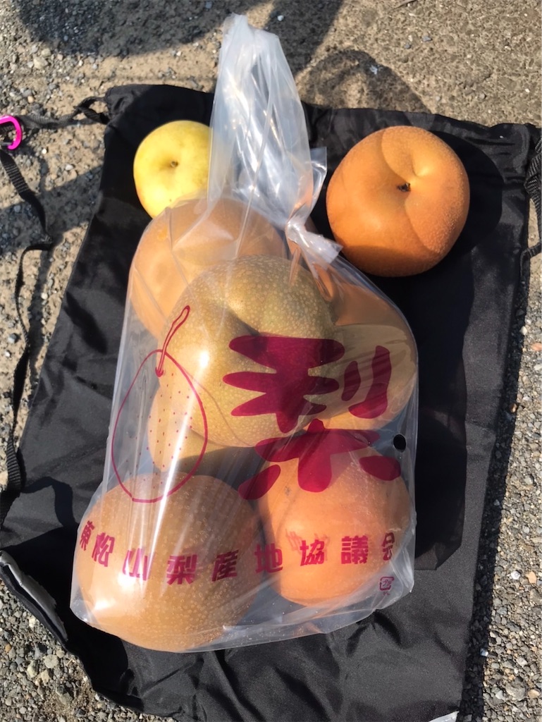 f:id:ccshimo:20240907183224j:image