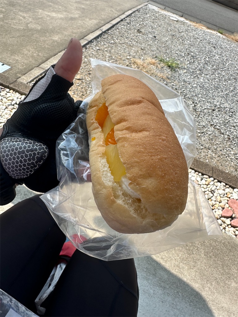 f:id:ccshimo:20240909105606j:image f:id:ccshimo:20240909105606j:image