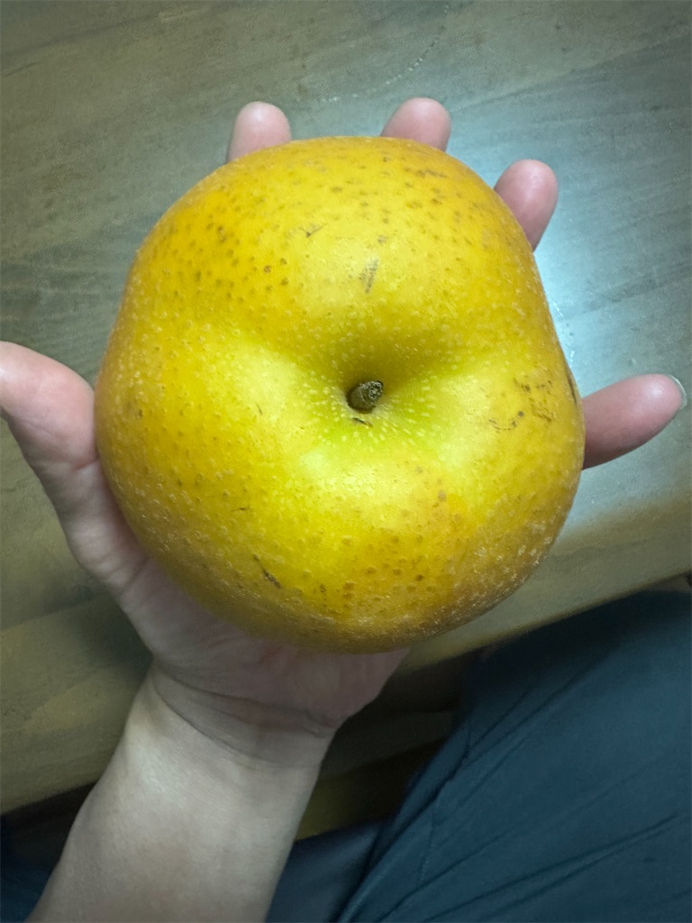 f:id:ccshimo:20240909105618j:image f:id:ccshimo:20240909105618j:image