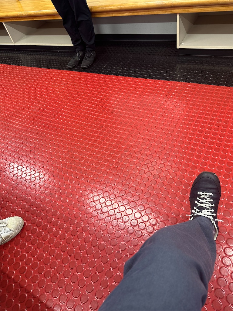 f:id:ccshimo:20241107143329j:image