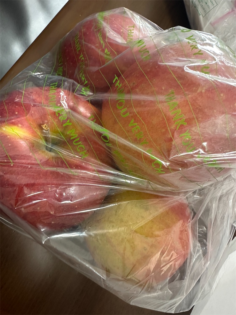 f:id:ccshimo:20241110200751j:image