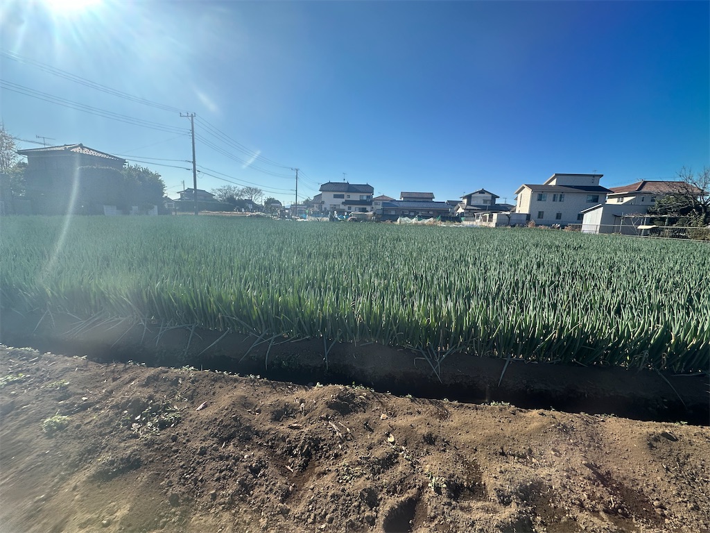f:id:ccshimo:20251207171408j:image