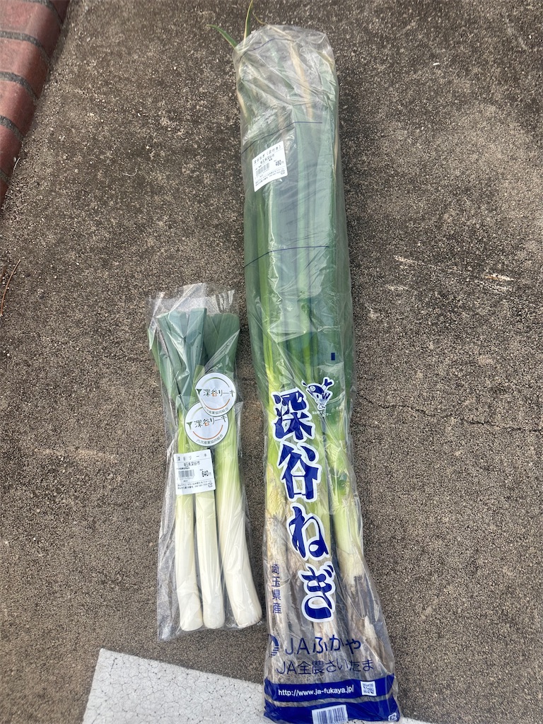 f:id:ccshimo:20260126154402j:image