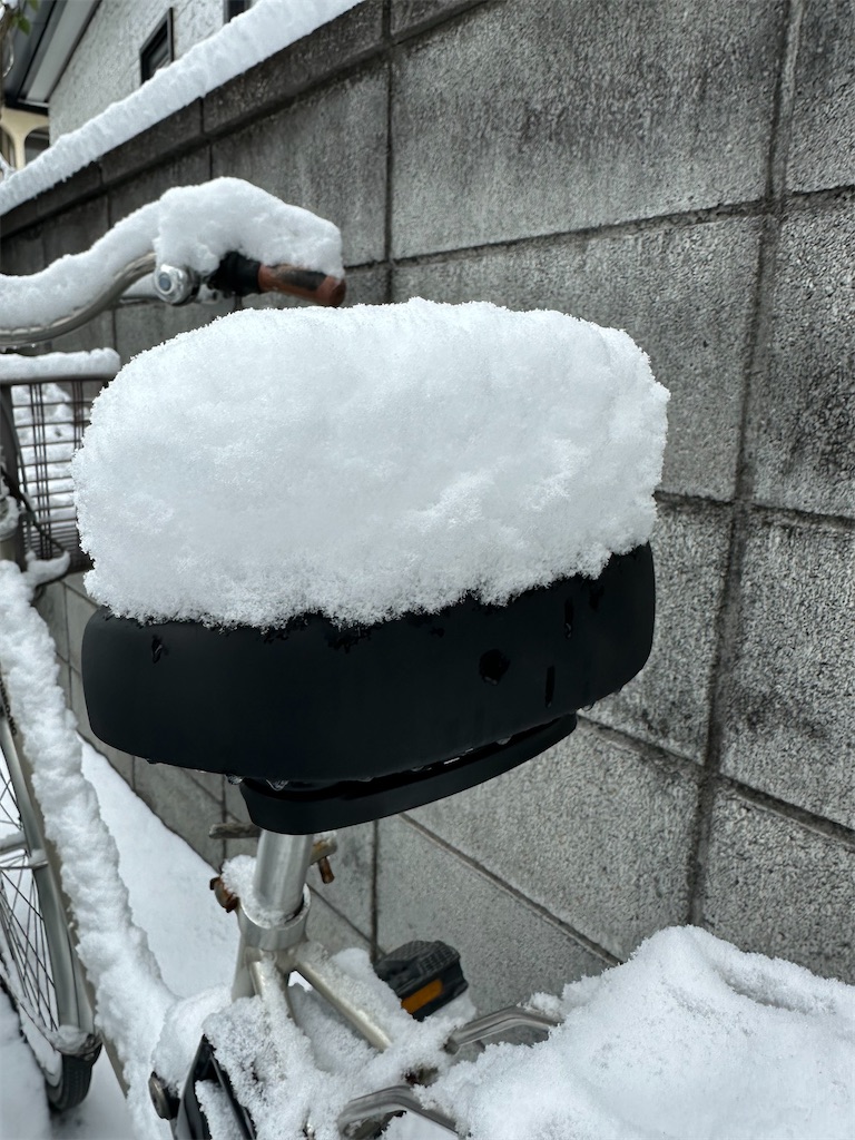 f:id:ccshimo:20260209170854j:image f:id:ccshimo:20260209170854j:image