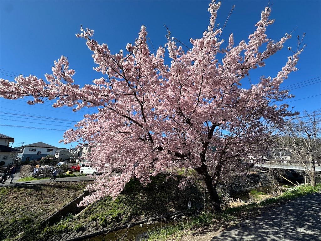 f:id:ccshimo:20260314151938j:image