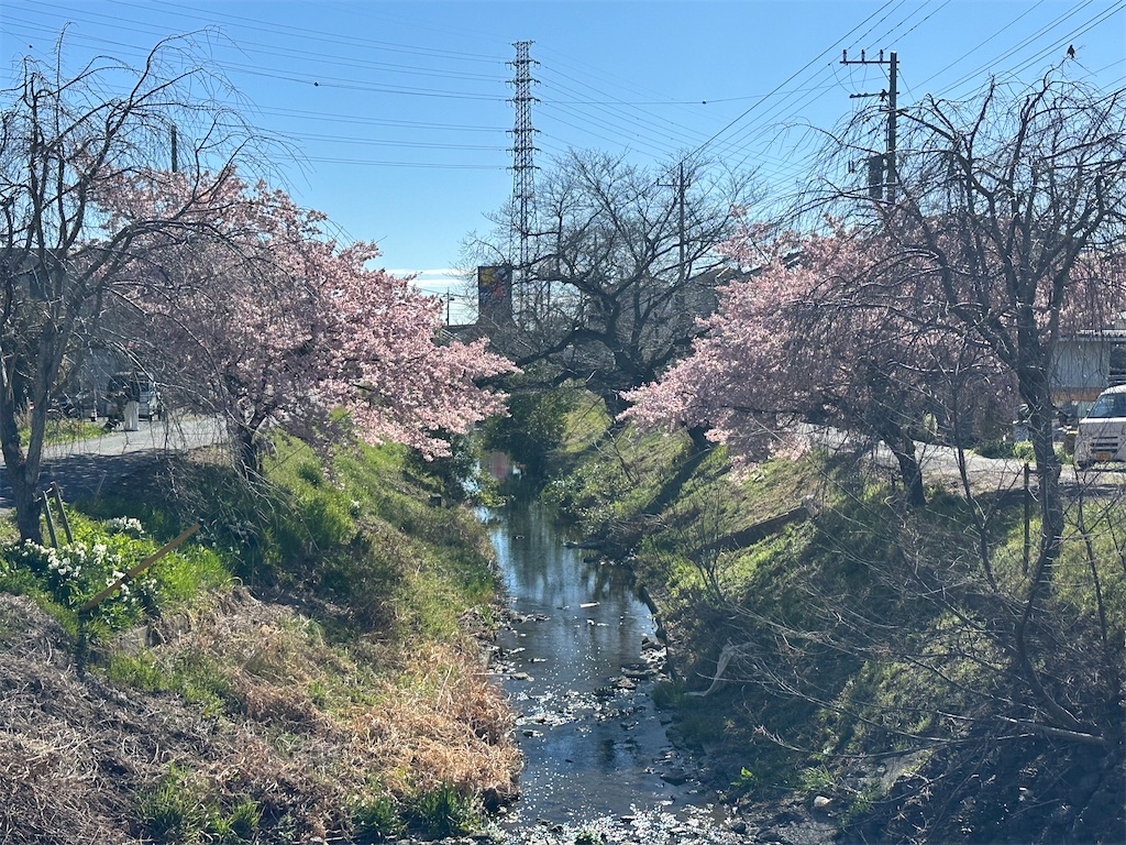 f:id:ccshimo:20260314152058j:image