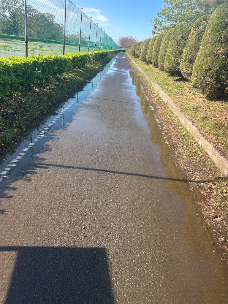 f:id:ccshimo:20260405202331j:image f:id:ccshimo:20260405202331j:image