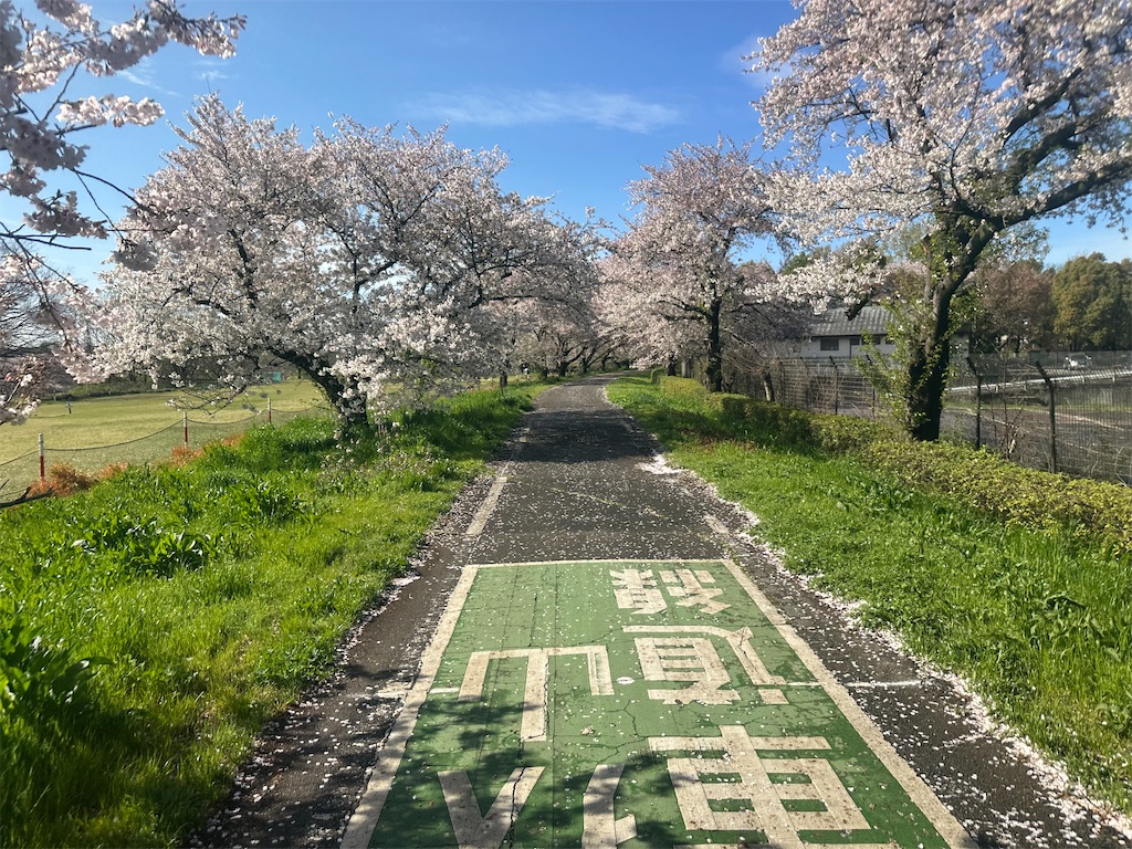 f:id:ccshimo:20260405202334j:image f:id:ccshimo:20260405202334j:image