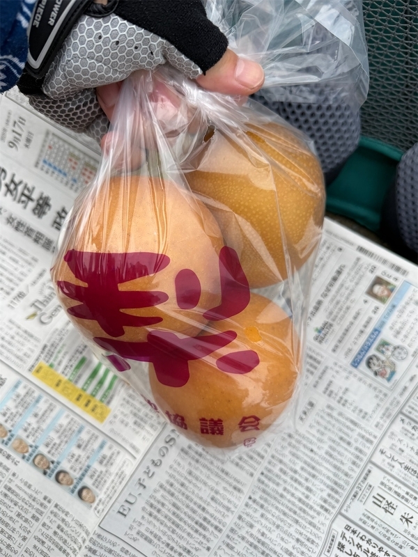 f:id:ccshimo:20260919123921j:image