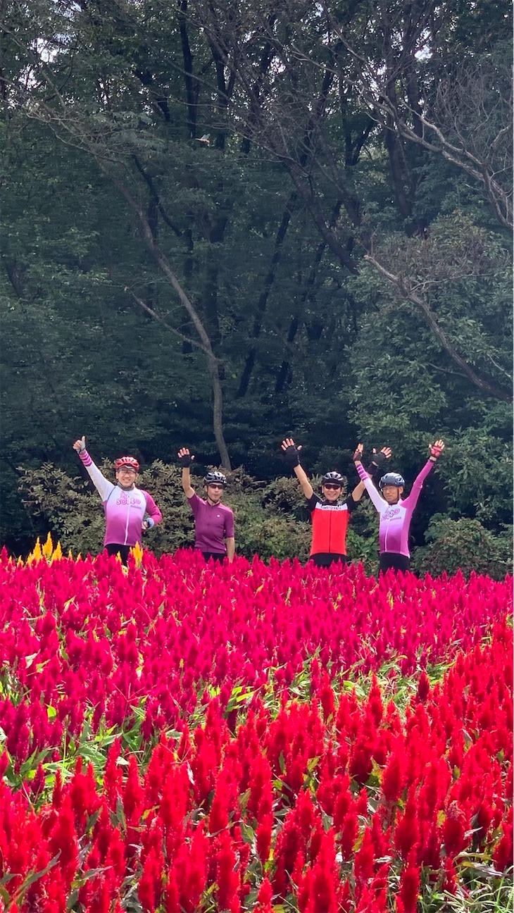 f:id:ccshimo:20261004182620j:image