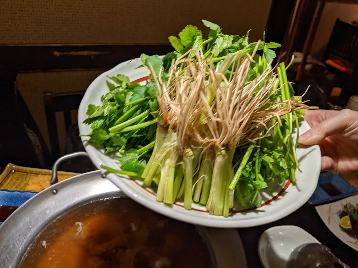 f:id:cdatasoftware:20211224153123p:plain