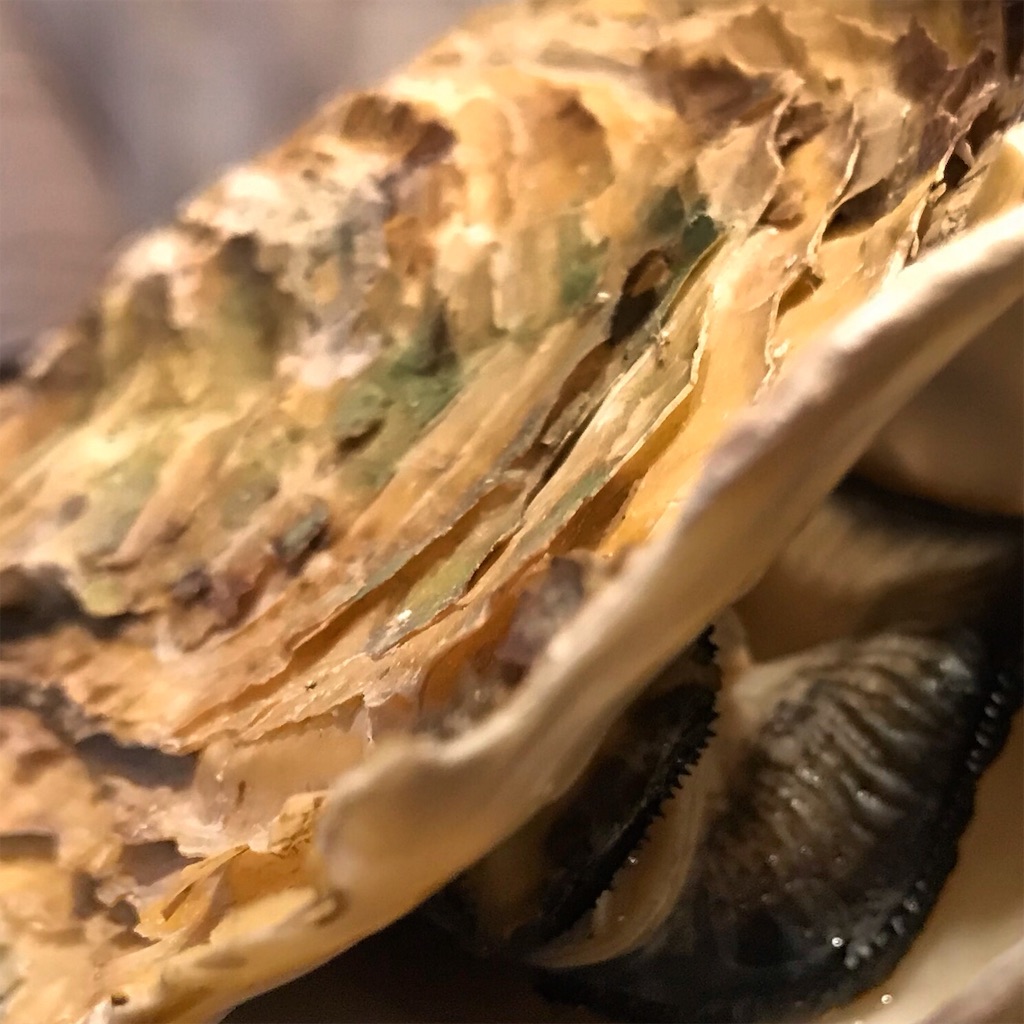f:id:cdghnd:20190419223256j:image